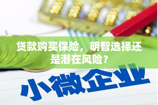 石门贷款购买保险，明智选择还是潜在风险？
