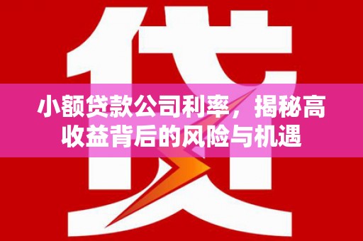 石门小额贷款公司利率，揭秘高收益背后的风险与机遇