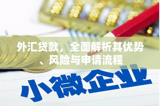 石门外汇贷款，全面解析其优势、风险与申请流程