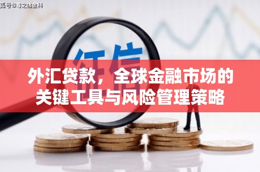 石门外汇贷款，全球金融市场的关键工具与风险管理策略