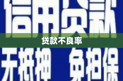 石门贷款不良率