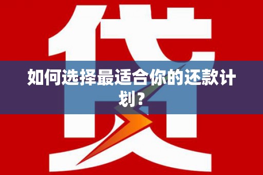 石门如何选择最适合你的还款计划？