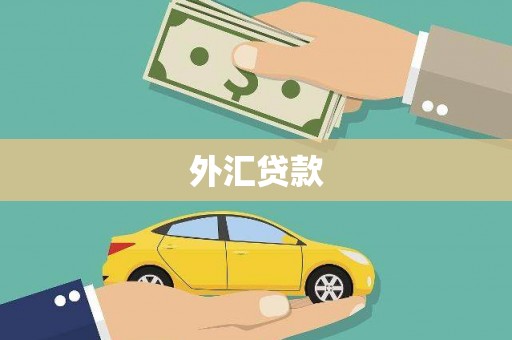 石门外汇贷款