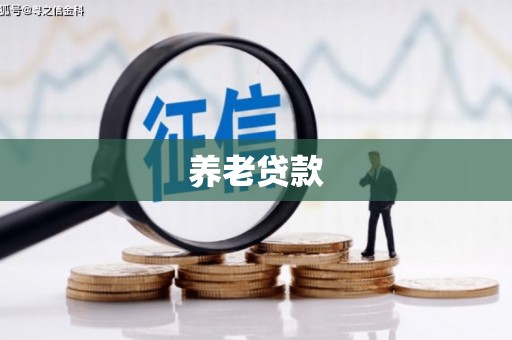 石门养老贷款