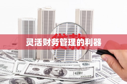 石门灵活财务管理的利器