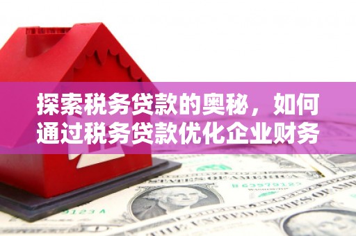 石门探索税务贷款的奥秘，如何通过税务贷款优化企业财务