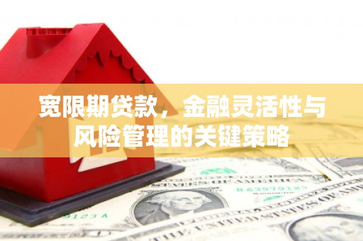 石门宽限期贷款，金融灵活性与风险管理的关键策略
