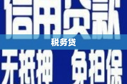 石门税务贷