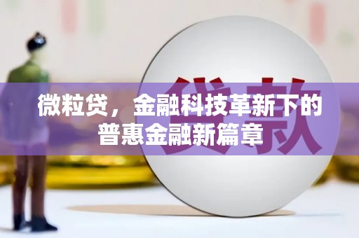 石门微粒贷，金融科技革新下的普惠金融新篇章