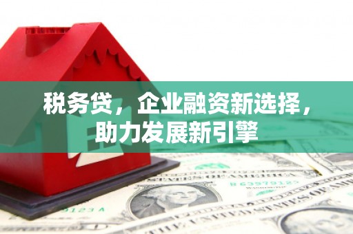 石门税务贷，企业融资新选择，助力发展新引擎