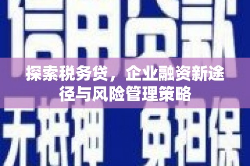 石门探索税务贷，企业融资新途径与风险管理策略