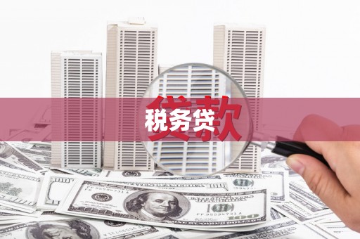 石门税务贷