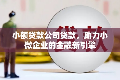 石门小额贷款公司贷款，助力小微企业的金融新引擎