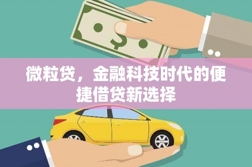 石门微粒贷，金融科技时代的便捷借贷新选择