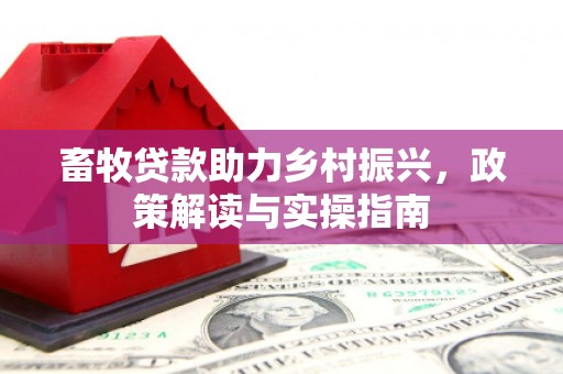 石门畜牧贷款助力乡村振兴，政策解读与实操指南