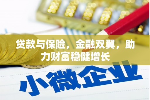 石门贷款与保险，金融双翼，助力财富稳健增长