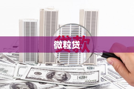 石门微粒贷