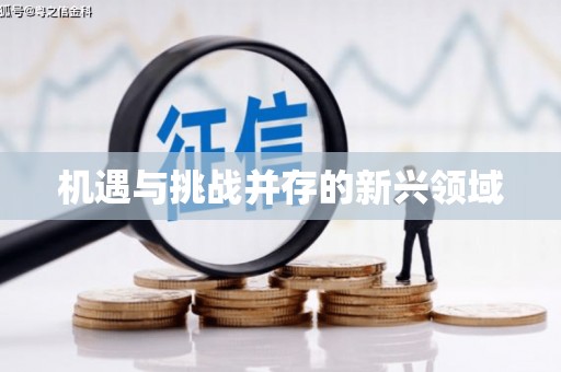 石门机遇与挑战并存的新兴领域
