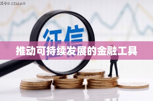 石门推动可持续发展的金融工具