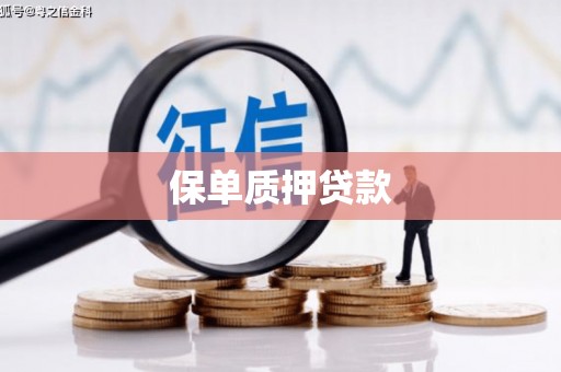 石门保单质押贷款