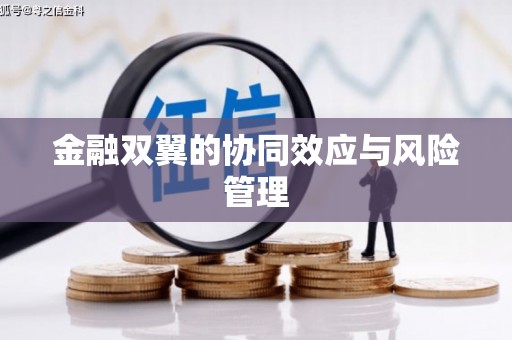 石门金融双翼的协同效应与风险管理