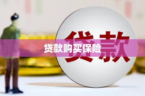 石门贷款购买保险
