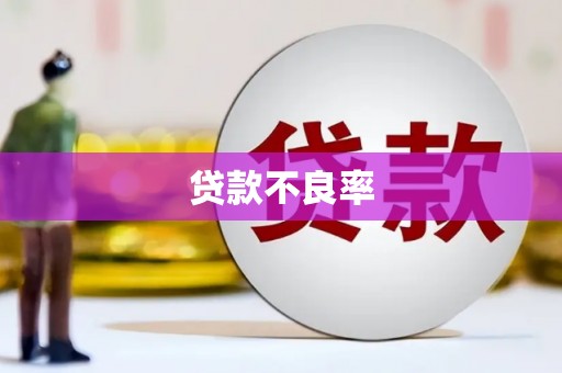 石门贷款不良率